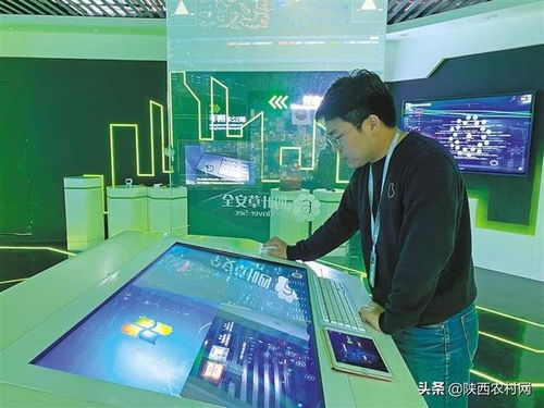 走近高新技術(shù)企業(yè)四葉草安全 構(gòu)筑網(wǎng)絡(luò)防線，賦能企業(yè)技術(shù)服務(wù)新生態(tài)